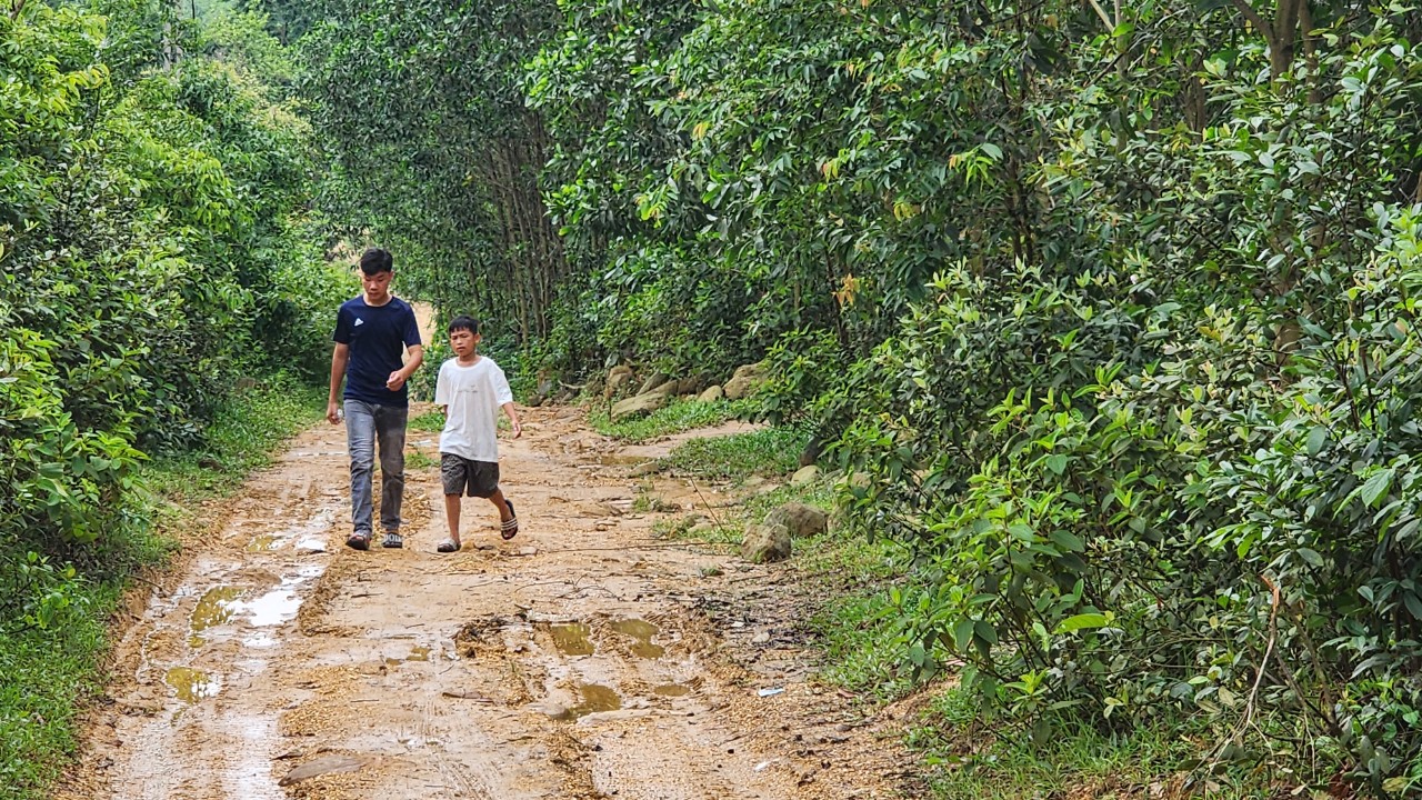 Quảng Ninh: Gập ghềnh đường v&agrave;o điểm d&acirc;n cư B&agrave;ng Danh- Ảnh 3.