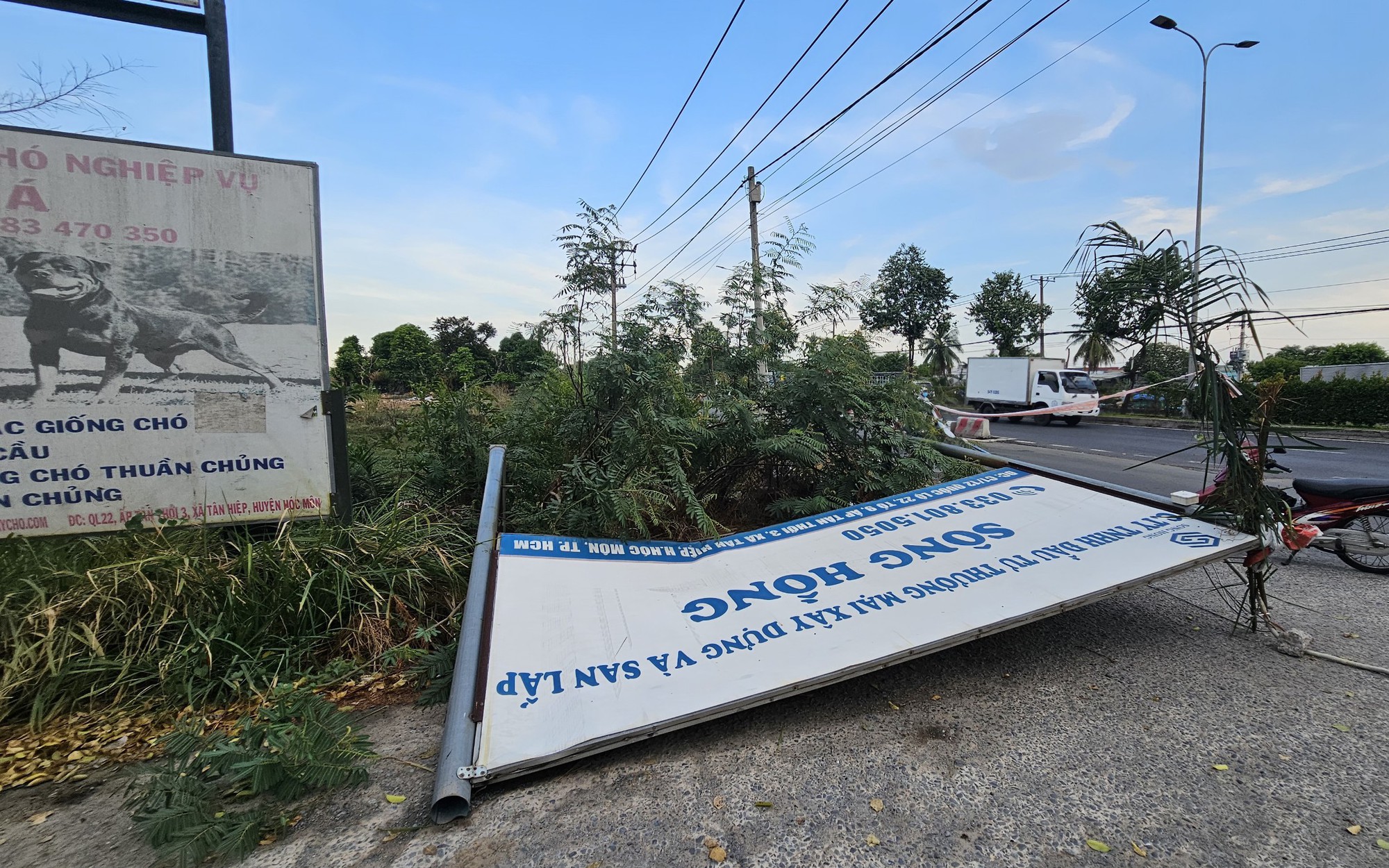 Mưa lớn tại TP.HCM: Nh&agrave; tốc m&aacute;i, c&acirc;y bật gốc đ&egrave; tr&uacute;ng &ocirc; t&ocirc;