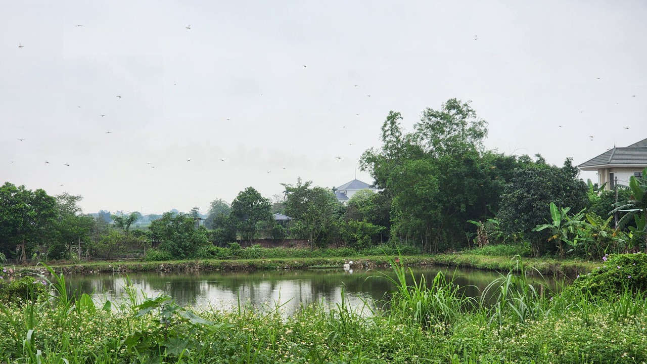 Th&aacute;i B&igrave;nh: Vướng mặt bằng, dự &aacute;n đường ngh&igrave;n tỷ nguy cơ chậm tiến độ- Ảnh 4.