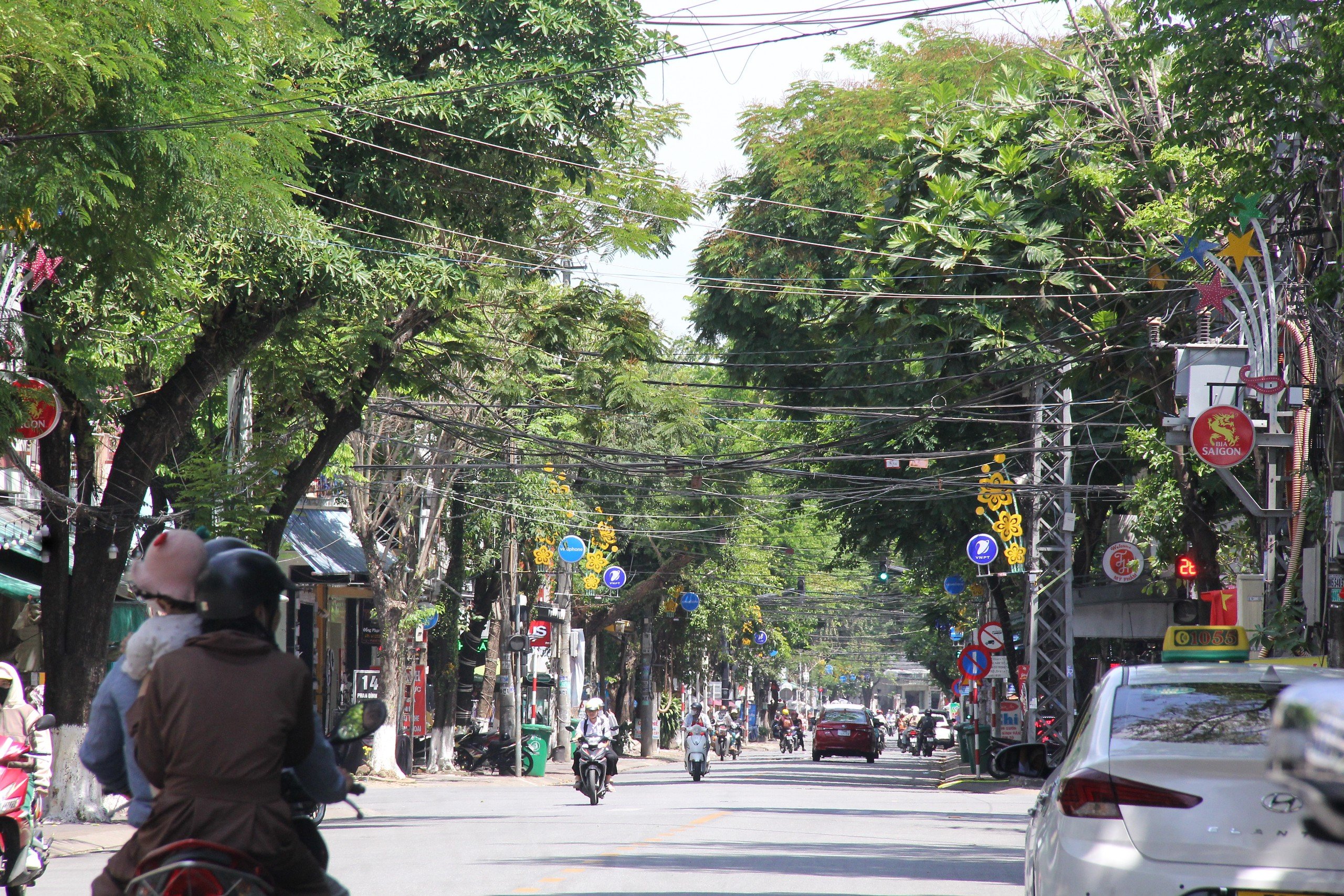 Bộ C&ocirc;ng an y&ecirc;u cầu Quảng Ng&atilde;i cung cấp t&agrave;i liệu c&aacute;c dự &aacute;n trồng, chăm s&oacute;c c&acirc;y xanh- Ảnh 1.