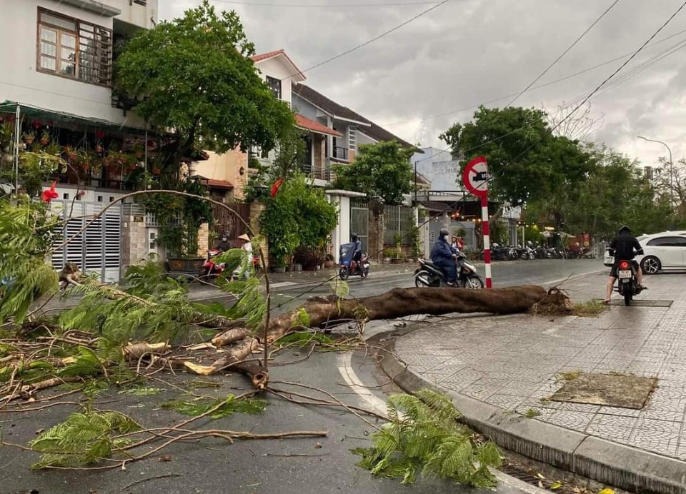 Gi&ocirc;ng s&eacute;t, lốc xo&aacute;y ở Huế l&agrave;m nhiều c&acirc;y xanh g&atilde;y đổ, nh&agrave; tốc m&aacute;i- Ảnh 1.