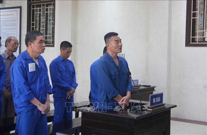 Th&aacute;i B&igrave;nh: Nguy&ecirc;n gi&aacute;m đốc trung t&acirc;m đăng kiểm nhận mức &aacute;n 30 th&aacute;ng t&ugrave; ở vụ x&eacute;t xử thứ hai- Ảnh 1.