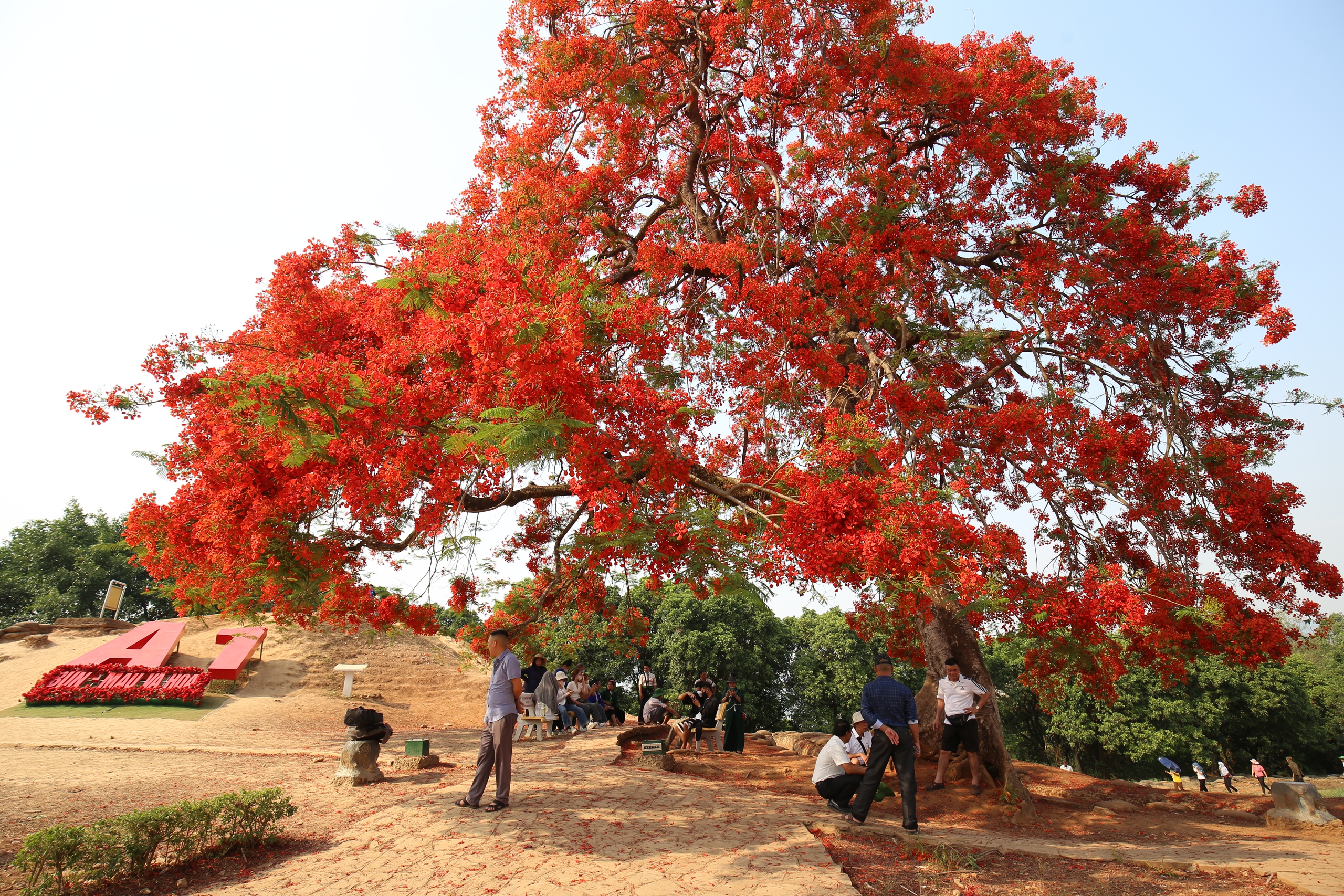 Du khách nườm nượp đổ về di tích đồi A1- Ảnh 21. Du khách nườm nượp đổ về di tích đồi A1- Ảnh 21.