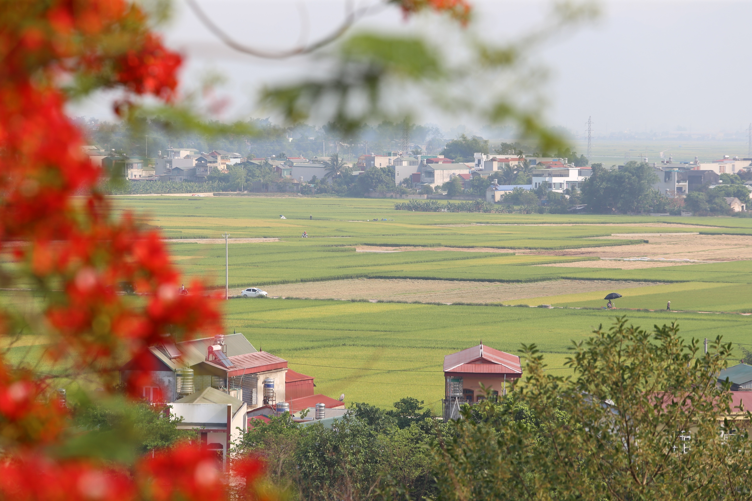 Du khách nườm nượp đổ về di tích đồi A1- Ảnh 22. Du khách nườm nượp đổ về di tích đồi A1- Ảnh 22.