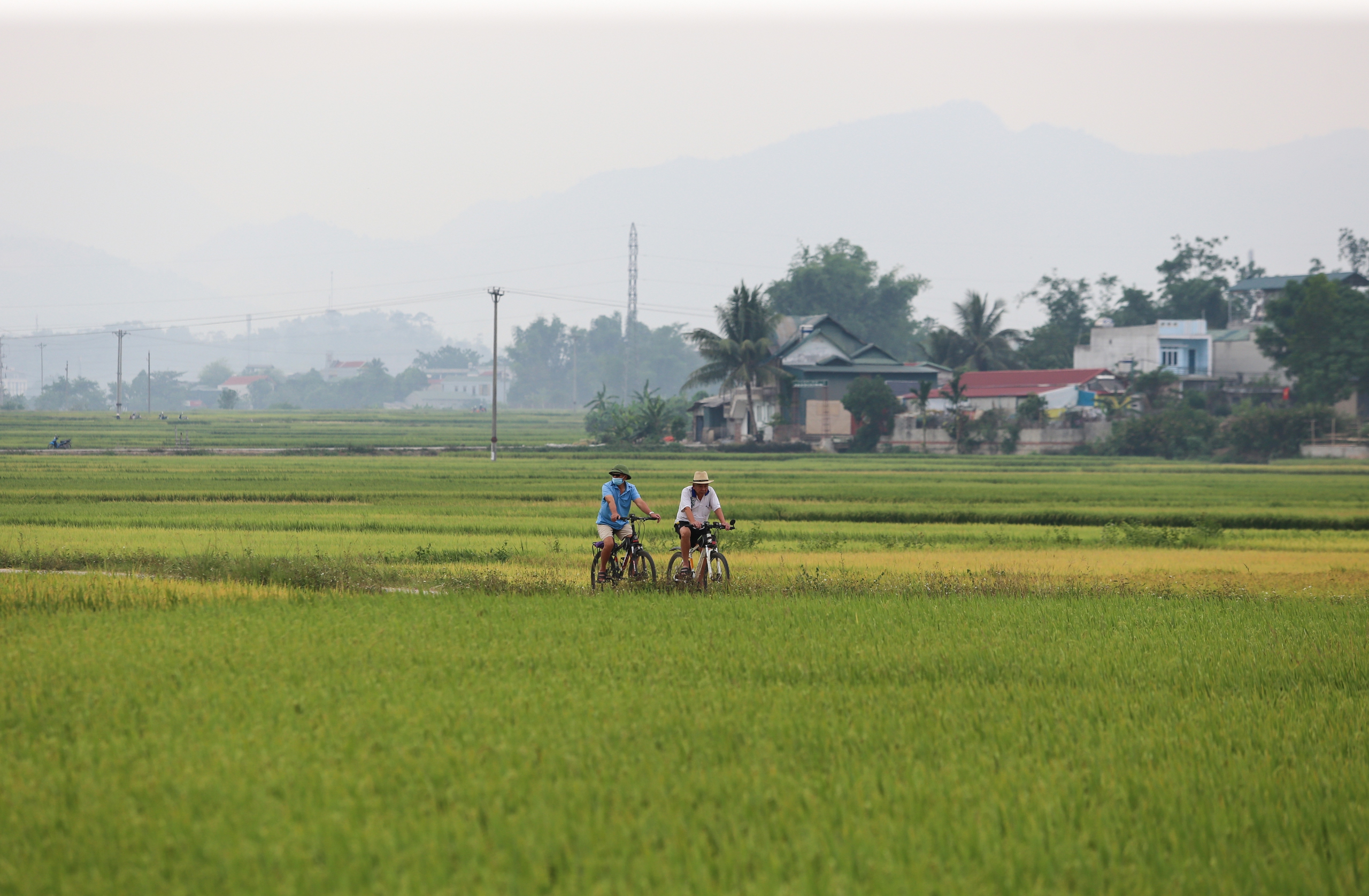 M&ecirc; mẩn ngắm c&aacute;nh đồng Mường Thanh đẹp nhất T&acirc;y Bắc- Ảnh 23.