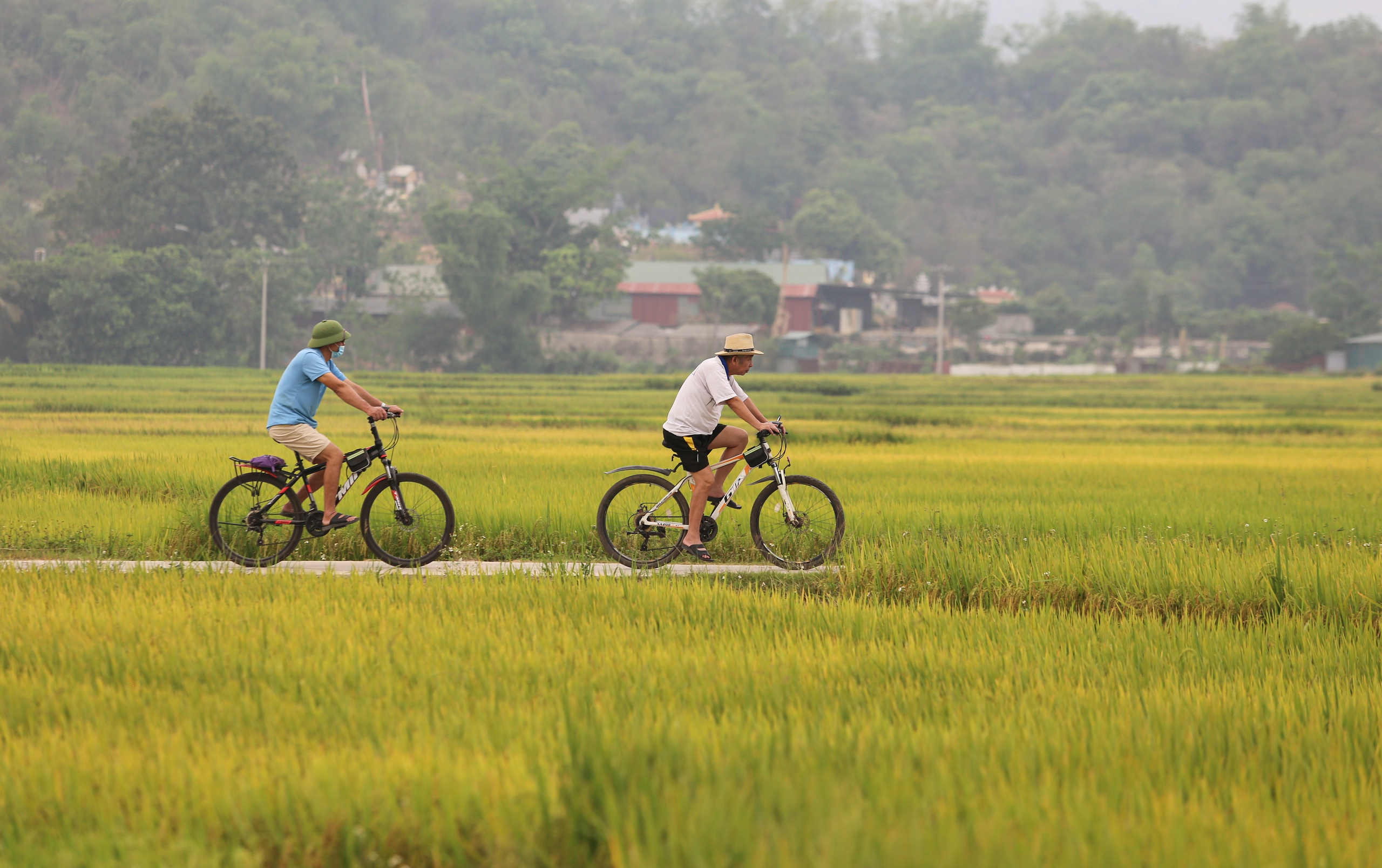 M&ecirc; mẩn ngắm c&aacute;nh đồng Mường Thanh đẹp nhất T&acirc;y Bắc- Ảnh 24.