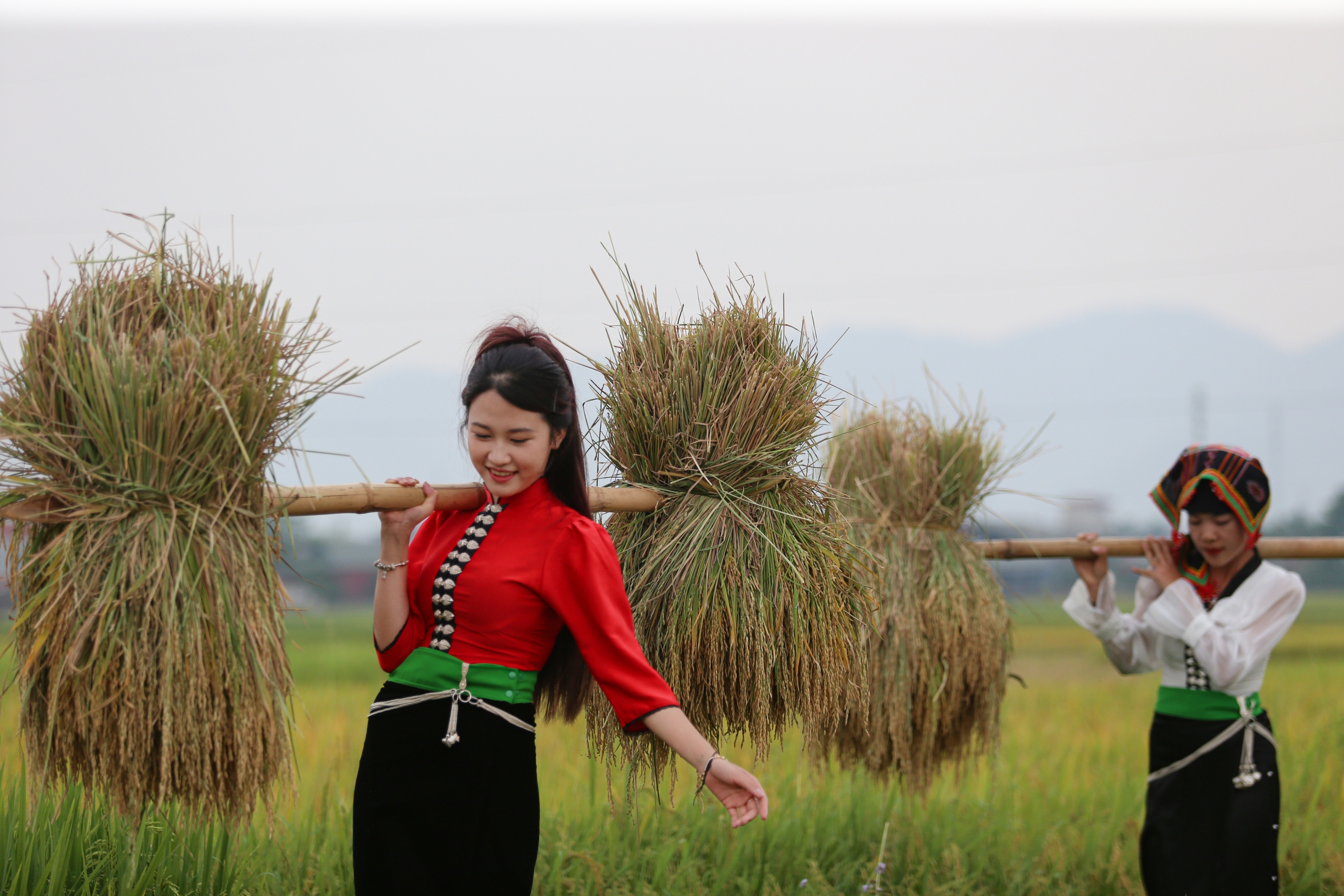 M&ecirc; mẩn ngắm c&aacute;nh đồng Mường Thanh đẹp nhất T&acirc;y Bắc- Ảnh 11.