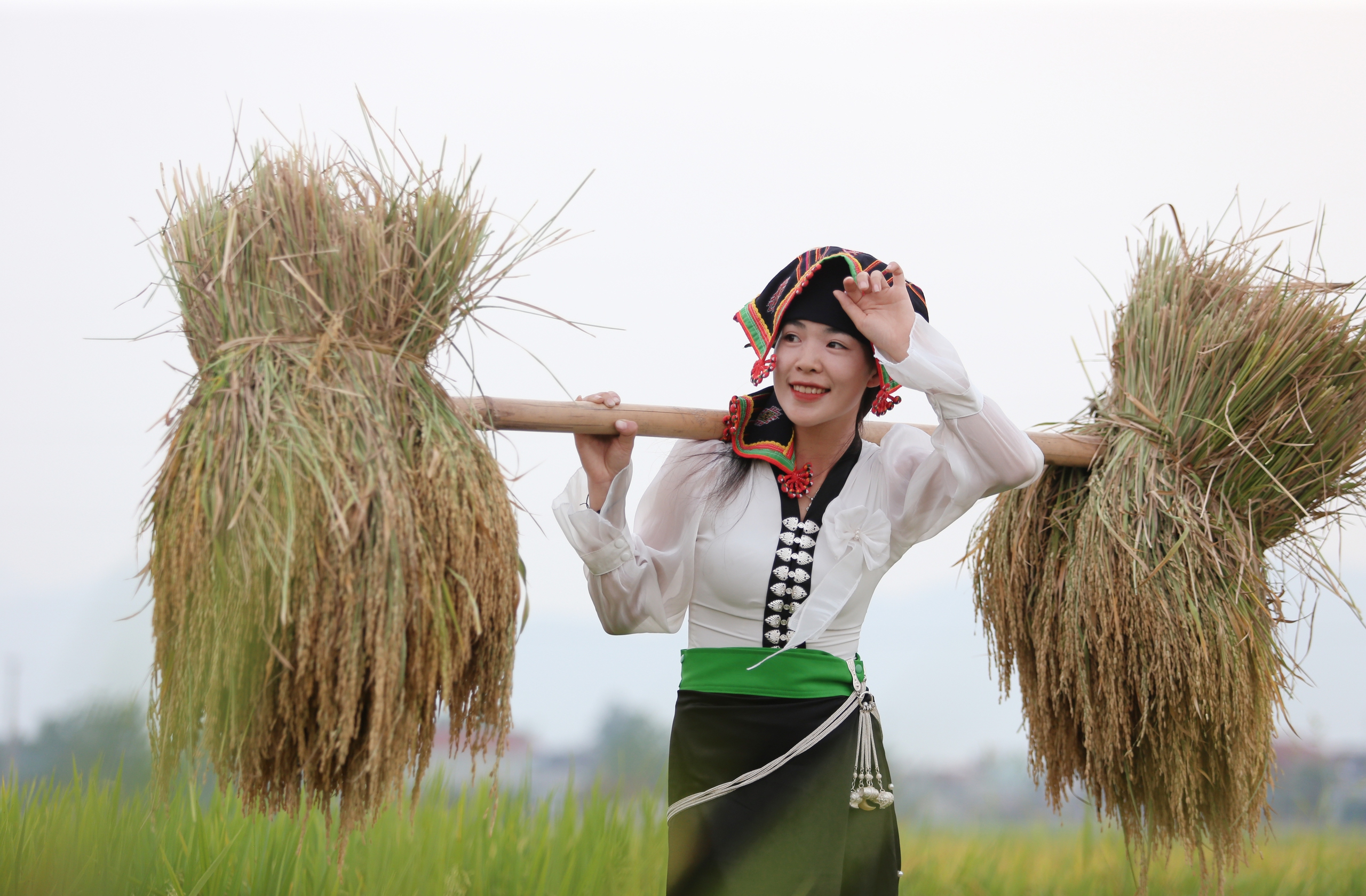 M&ecirc; mẩn ngắm c&aacute;nh đồng Mường Thanh đẹp nhất T&acirc;y Bắc- Ảnh 12.