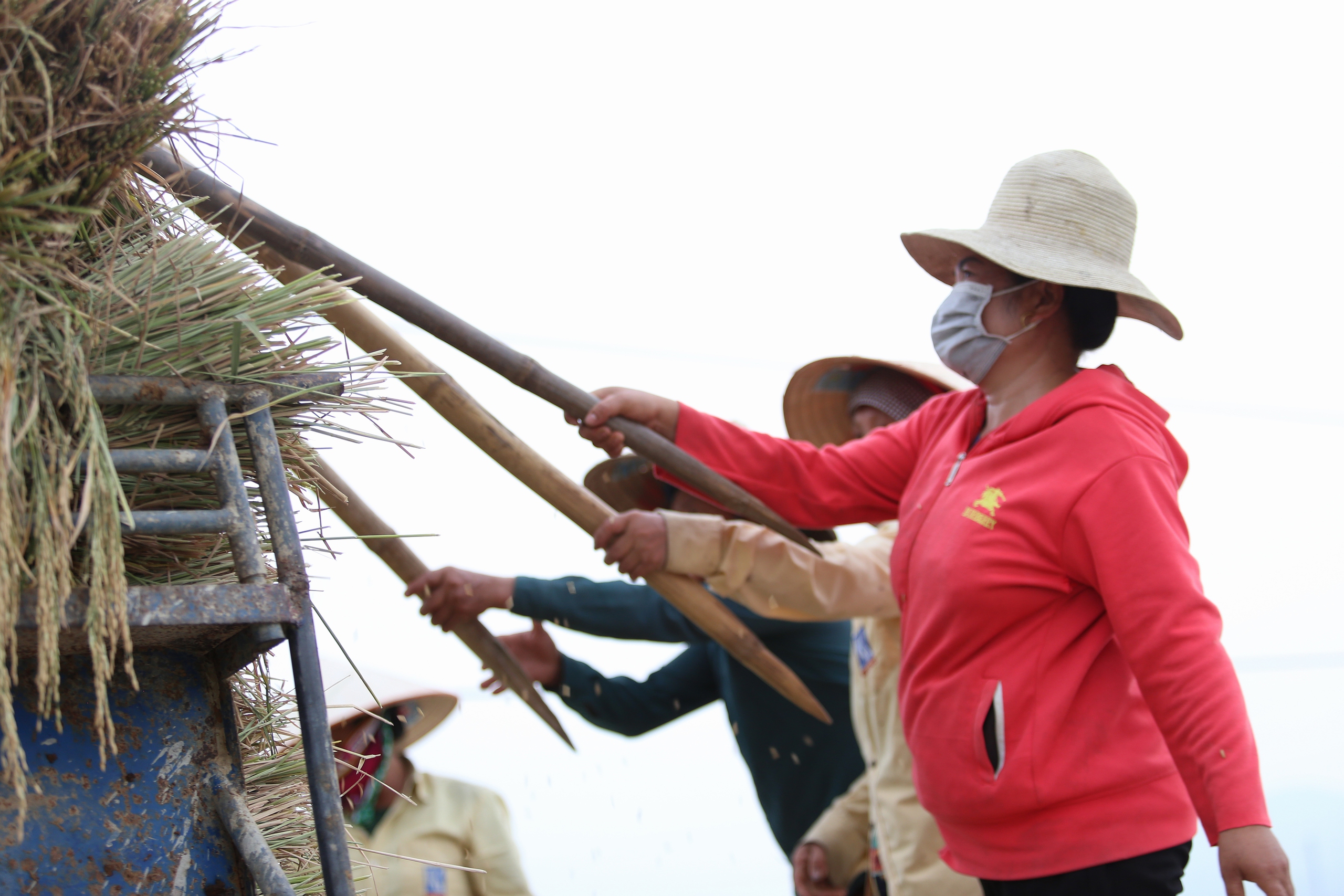 M&ecirc; mẩn ngắm c&aacute;nh đồng Mường Thanh đẹp nhất T&acirc;y Bắc- Ảnh 17.