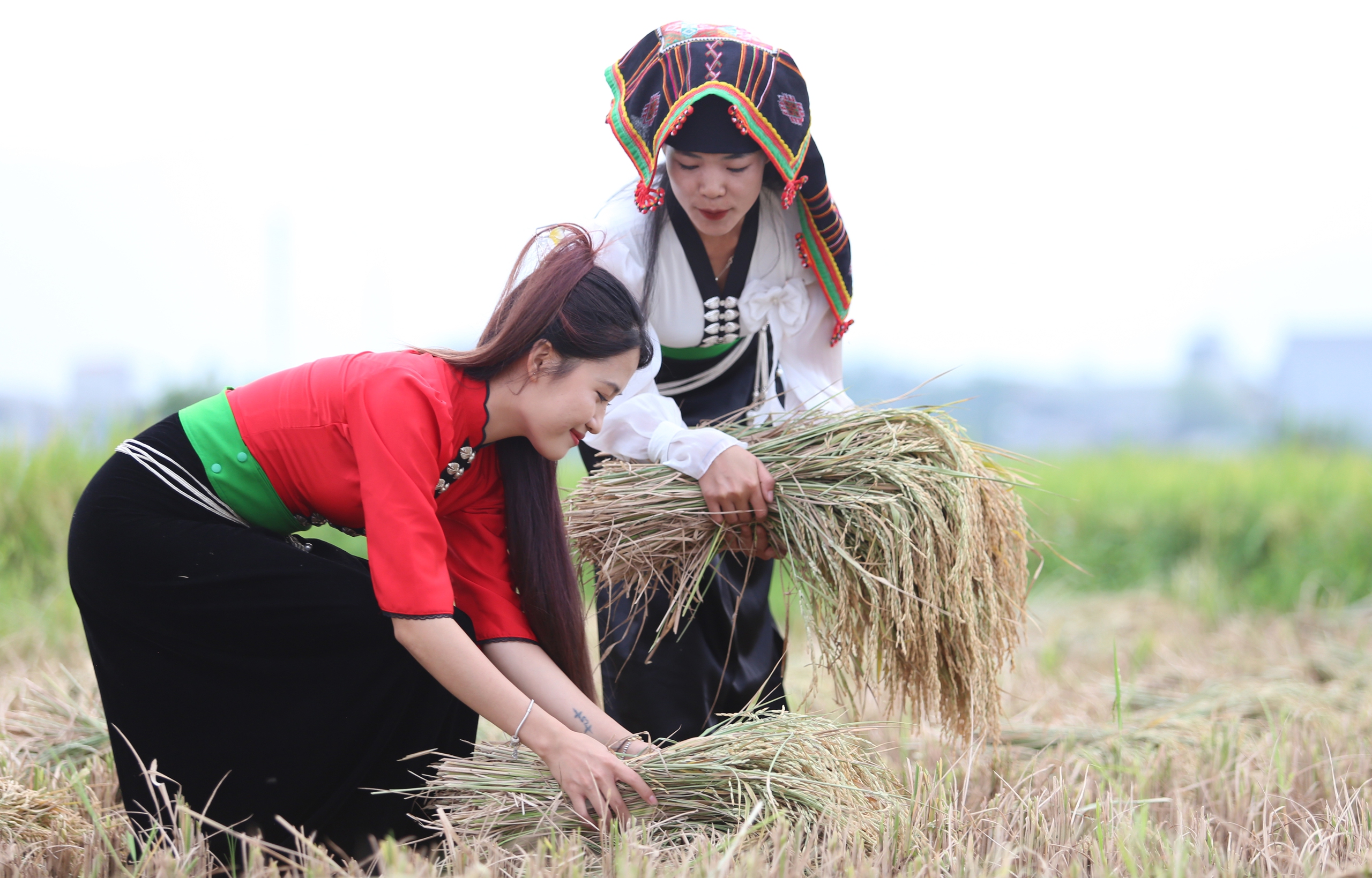 M&ecirc; mẩn ngắm c&aacute;nh đồng Mường Thanh đẹp nhất T&acirc;y Bắc- Ảnh 10.