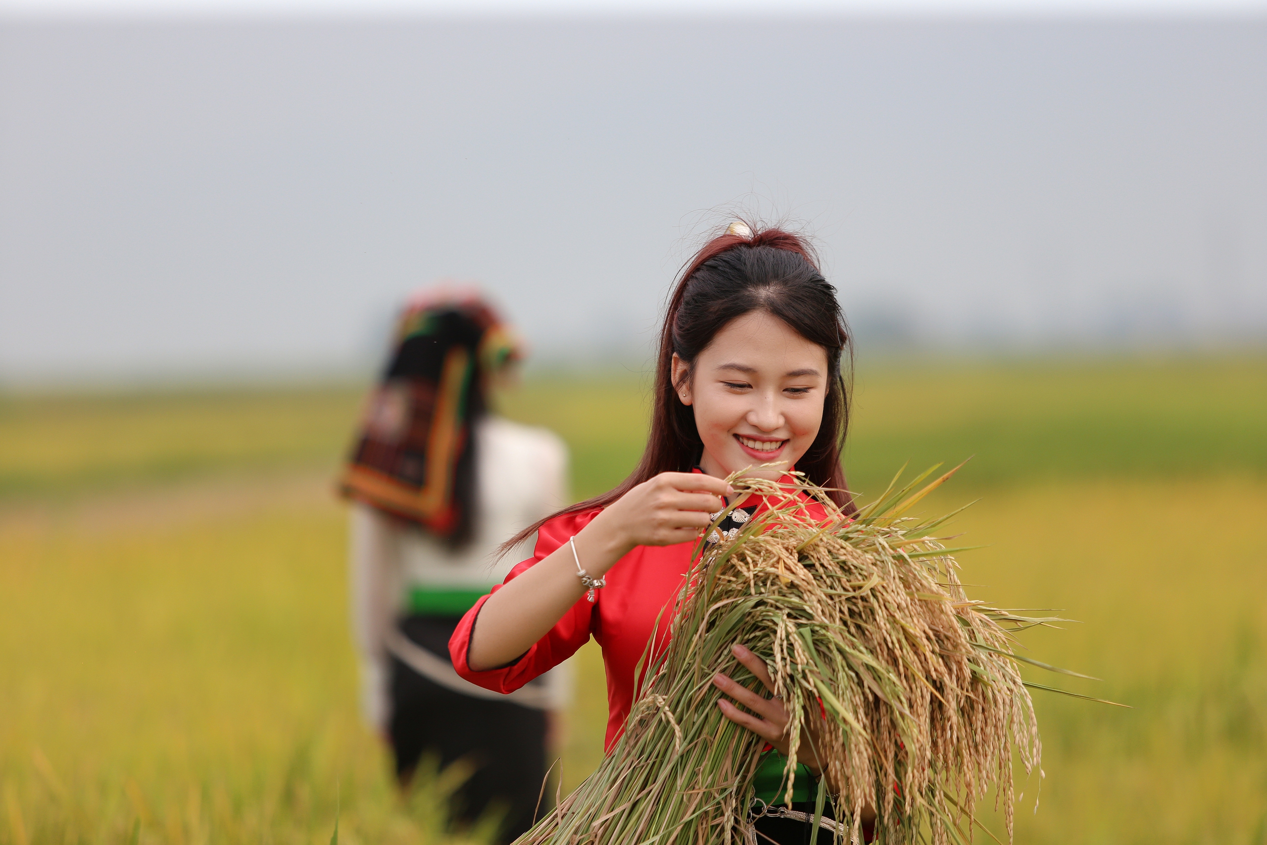 M&ecirc; mẩn ngắm c&aacute;nh đồng Mường Thanh đẹp nhất T&acirc;y Bắc- Ảnh 5.