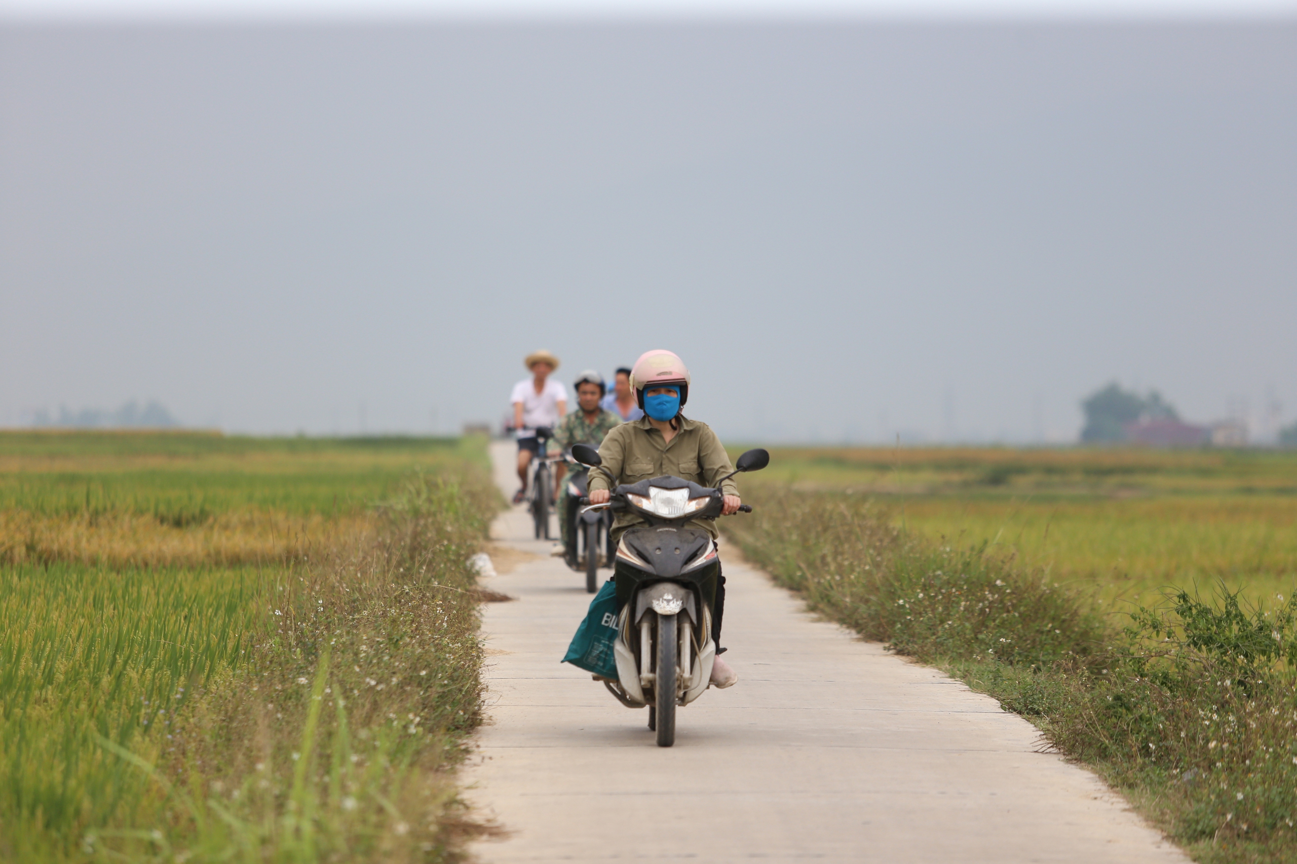 M&ecirc; mẩn ngắm c&aacute;nh đồng Mường Thanh đẹp nhất T&acirc;y Bắc- Ảnh 22.