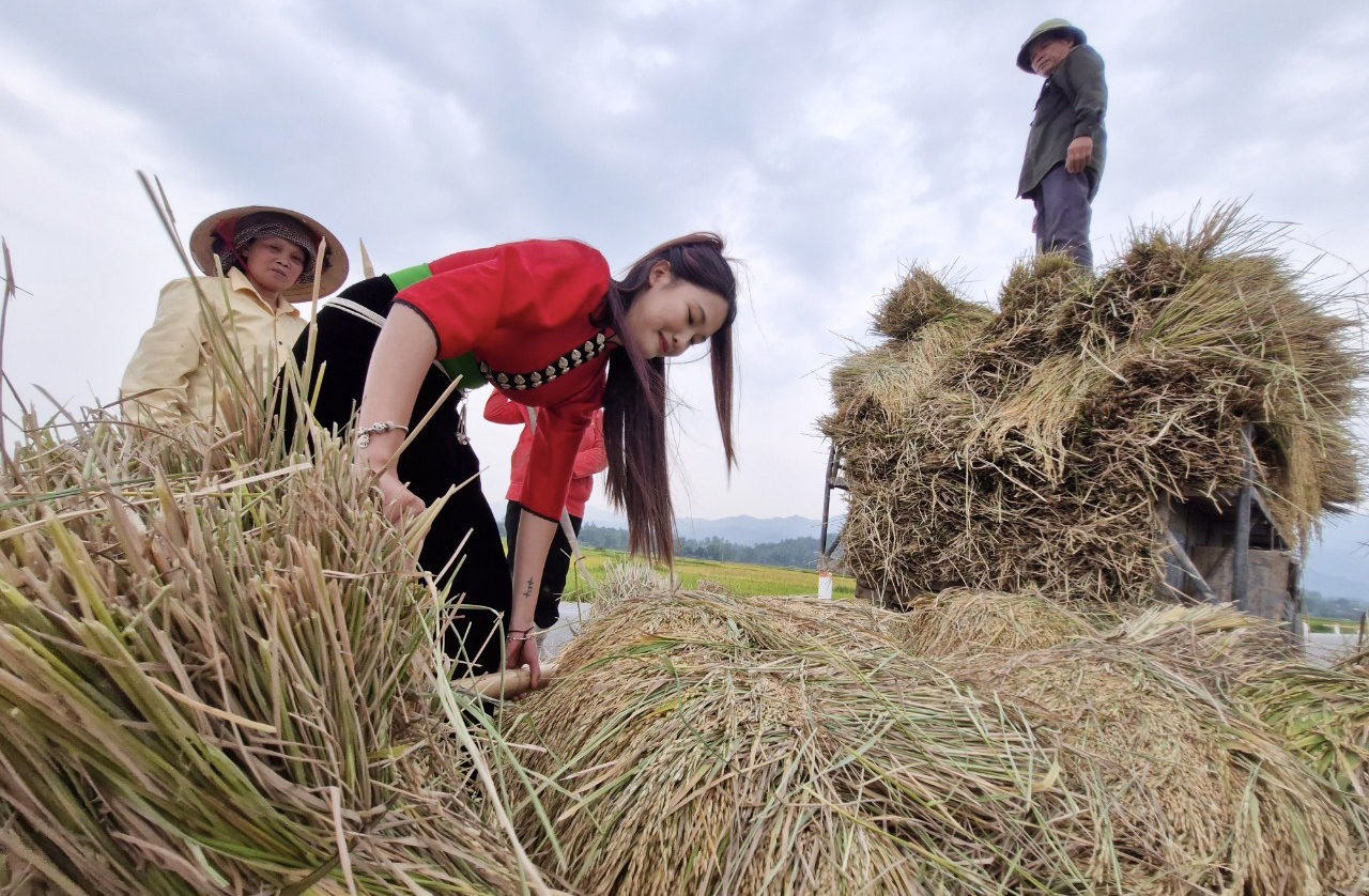 M&ecirc; mẩn ngắm c&aacute;nh đồng Mường Thanh đẹp nhất T&acirc;y Bắc- Ảnh 13.