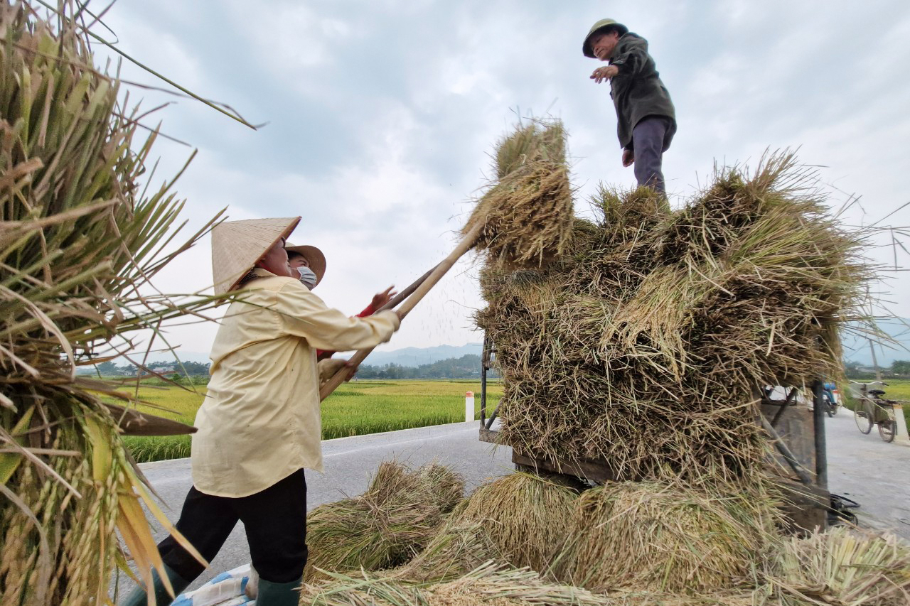 M&ecirc; mẩn ngắm c&aacute;nh đồng Mường Thanh đẹp nhất T&acirc;y Bắc- Ảnh 14.