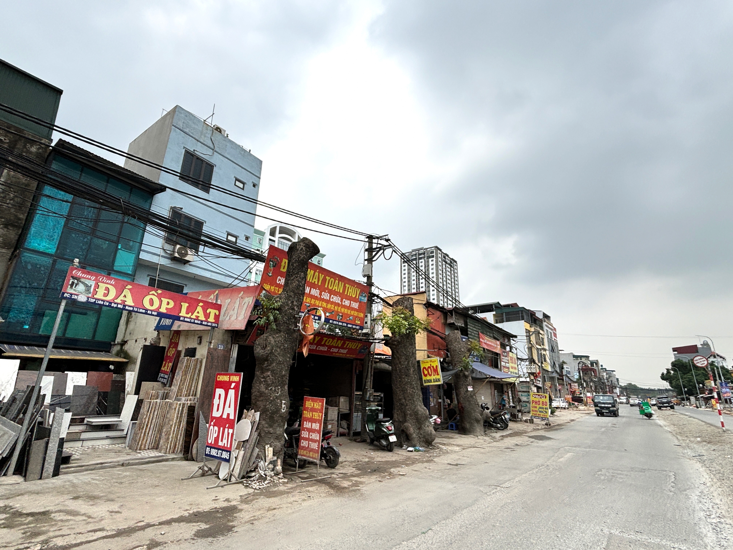 Loạt c&acirc;y x&agrave; cừ cắt ngọn, chuẩn bị b&aacute;n đấu gi&aacute; gỗ- Ảnh 4.