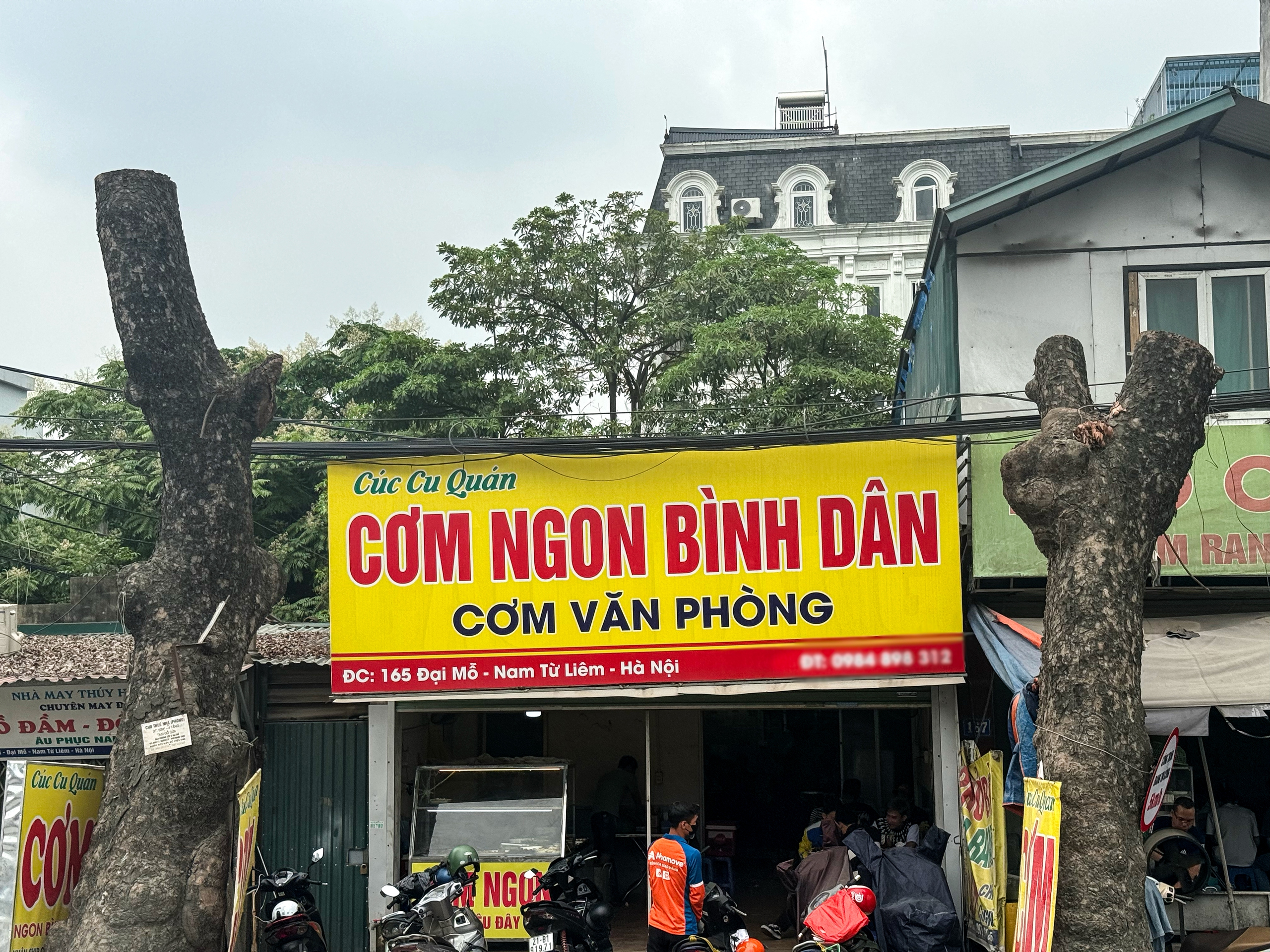 Loạt c&acirc;y x&agrave; cừ cắt ngọn, chuẩn bị b&aacute;n đấu gi&aacute; gỗ- Ảnh 3.