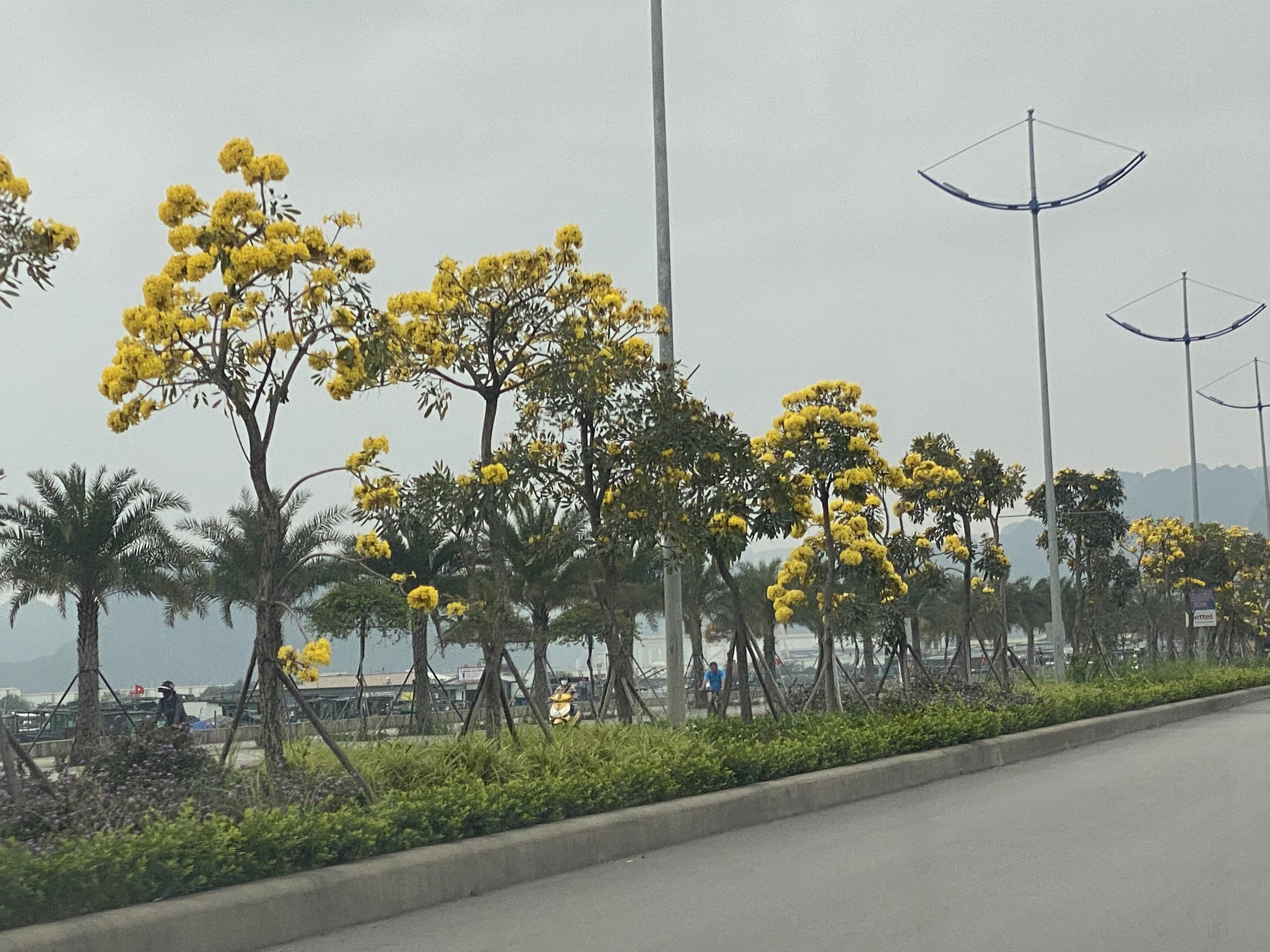 TP Cẩm Phả: Điểm s&aacute;ng x&acirc;y dựng giao th&ocirc;ng n&ocirc;ng th&ocirc;n mới, đ&ocirc; thị văn minh- Ảnh 3.