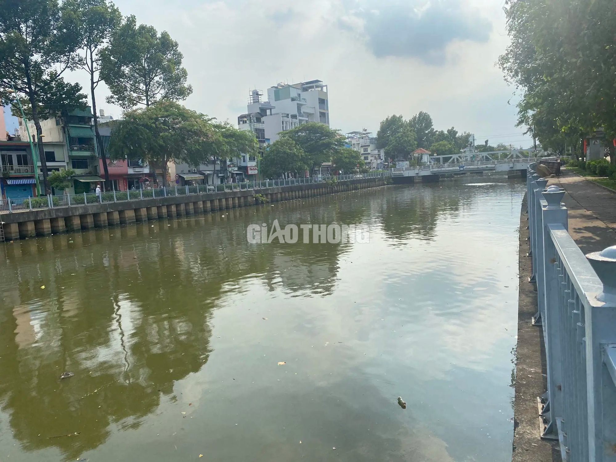 Khoảng 20 tấn c&aacute; chết tr&ecirc;n k&ecirc;nh Nhi&ecirc;u Lộc - Thị Ngh&egrave; sau trận mưa đầu m&ugrave;a- Ảnh 14.