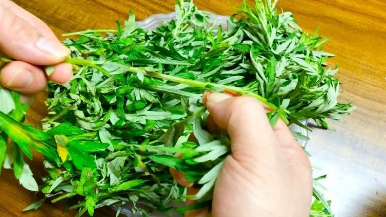 Loại rau qu&ecirc; cực bổ dưỡng, nhiều người kh&ocirc;ng biết đem vứt bỏ phần gốc "thần dược"- Ảnh 1.