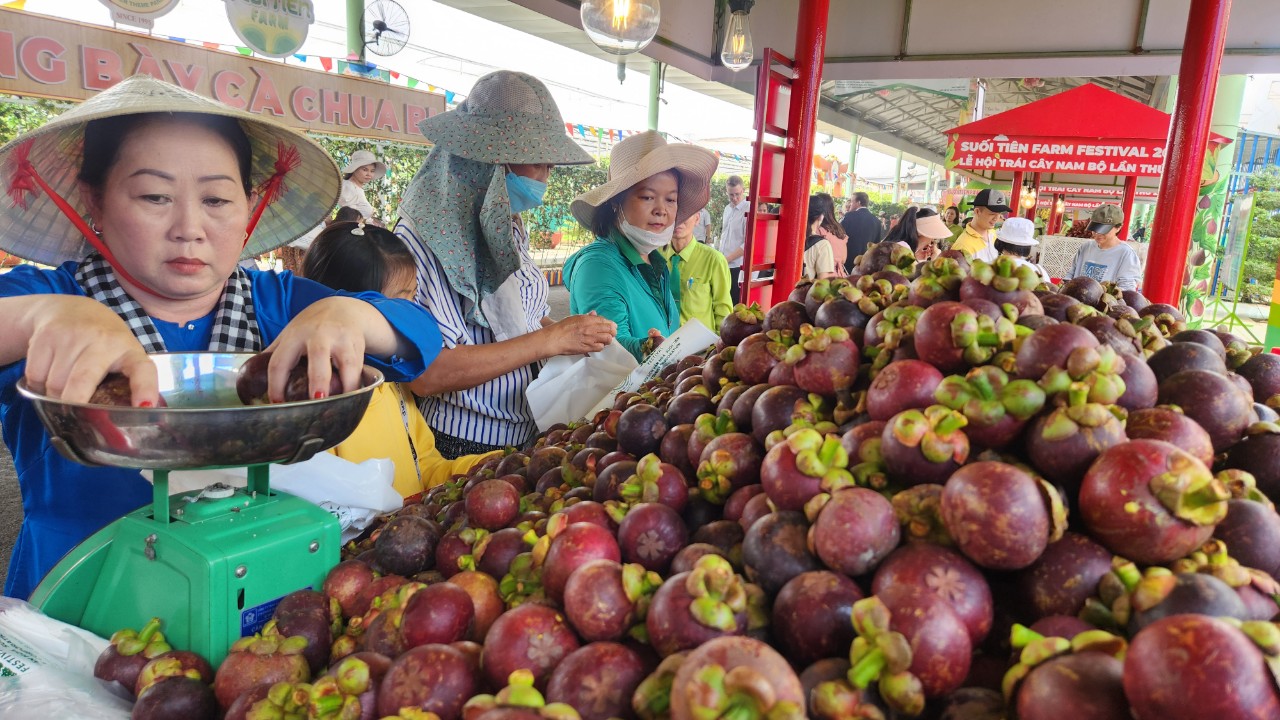 Vườn bí đao khổng lồ hút du khách tại lễ hội trái cây Nam Bộ- Ảnh 9. Vườn bí đao khổng lồ hút du khách tại lễ hội trái cây Nam Bộ- Ảnh 9.