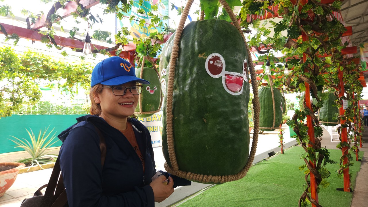 Vườn bí đao khổng lồ hút du khách tại lễ hội trái cây Nam Bộ- Ảnh 2. Vườn bí đao khổng lồ hút du khách tại lễ hội trái cây Nam Bộ- Ảnh 2.