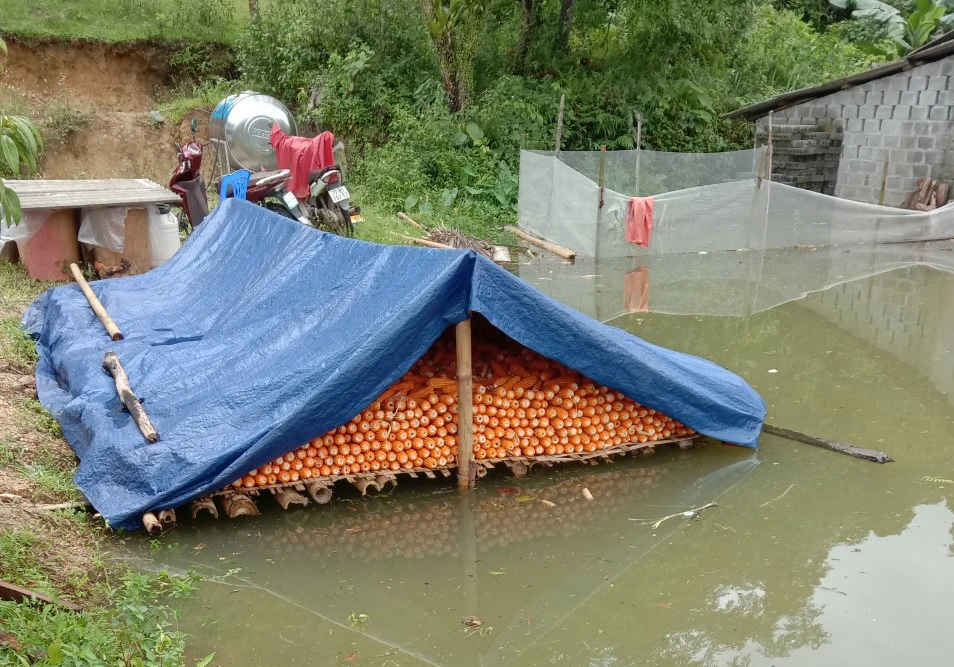 H&agrave; Giang: Người d&acirc;n khốn khổ v&igrave; nhận th&ocirc;ng b&aacute;o xả lũ muộn- Ảnh 4.