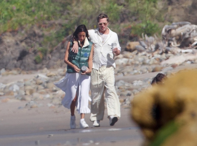 Brad Pitt l&agrave; người cha tồi hay Angelina Jolie l&agrave; người mẹ quỷ qu&aacute;i?- Ảnh 6.