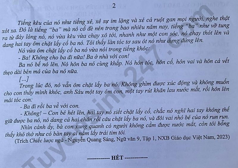 Đáp án đề thi tuyển sinh lớp 10 môn Ngữ văn Thanh Hóa năm 2024- Ảnh 7. Đáp án đề thi tuyển sinh lớp 10 môn Ngữ văn Thanh Hóa năm 2024- Ảnh 7.