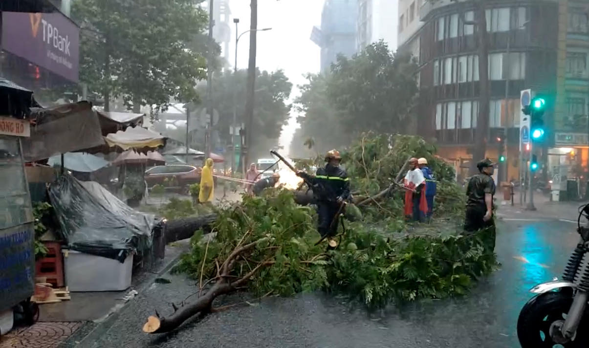 C&acirc;y đổ đầy đường, nước ngập l&ecirc;nh l&aacute;ng ngay trung t&acirc;m TP.HCM- Ảnh 8.