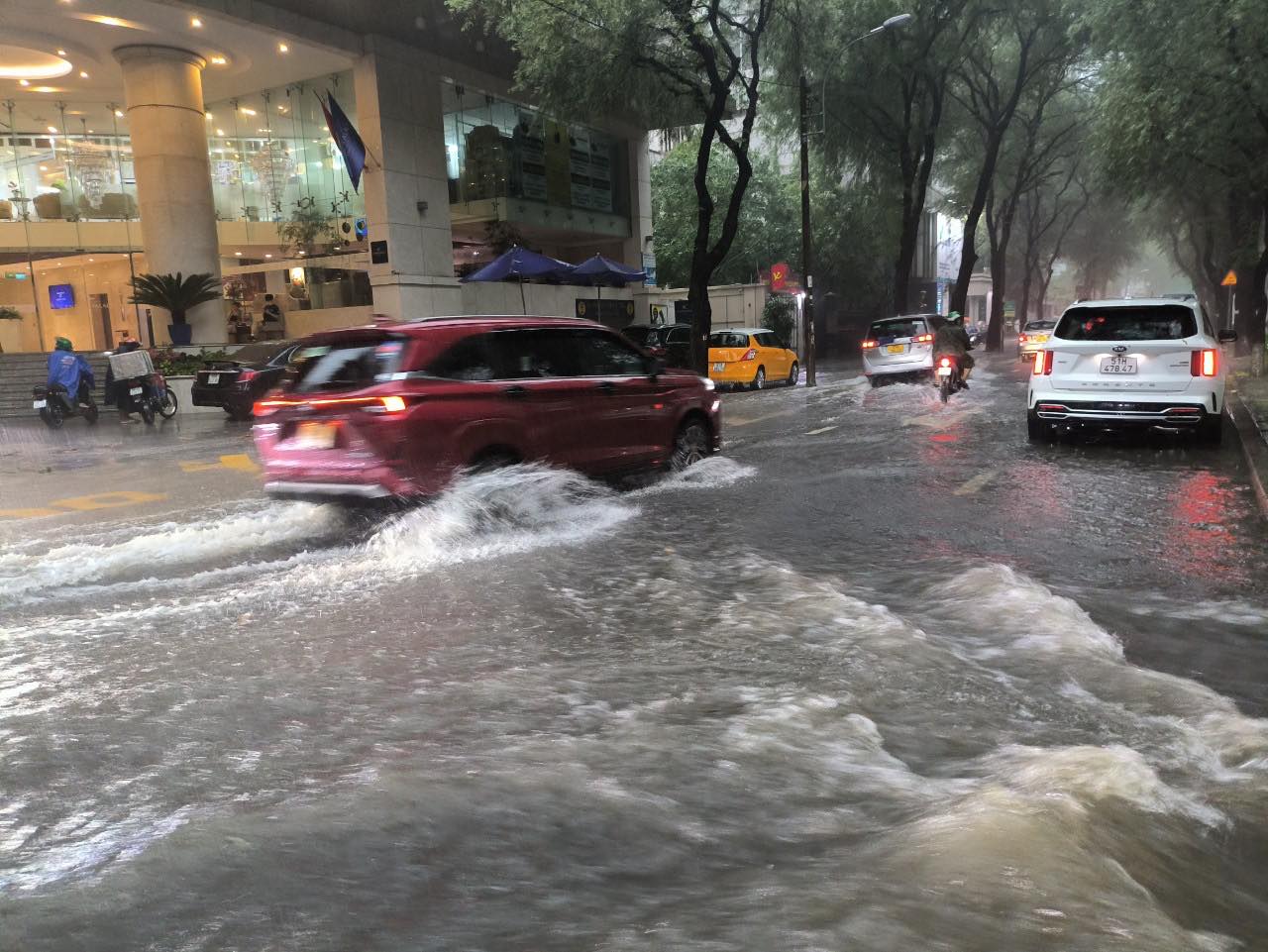 C&acirc;y đổ đầy đường, nước ngập l&ecirc;nh l&aacute;ng ngay trung t&acirc;m TP.HCM- Ảnh 3.