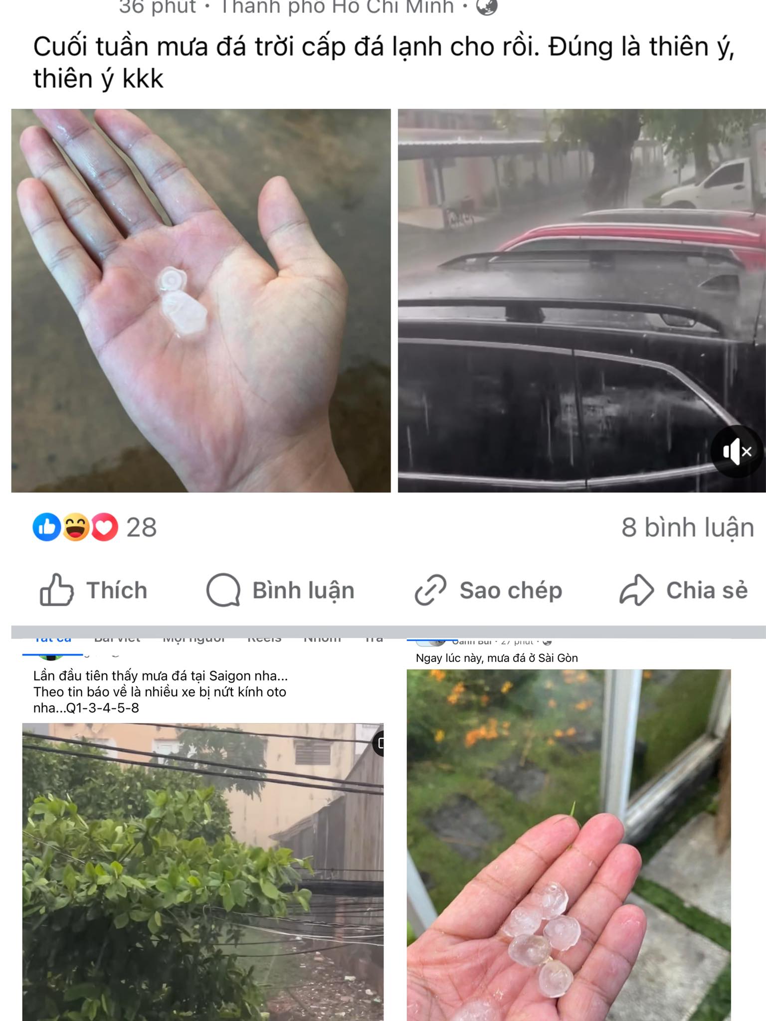 TP.HCM bất ngờ có mưa đá, người dân rần rần khoe mạng xã hội- Ảnh 1. TP.HCM bất ngờ có mưa đá, người dân rần rần khoe mạng xã hội- Ảnh 1.
