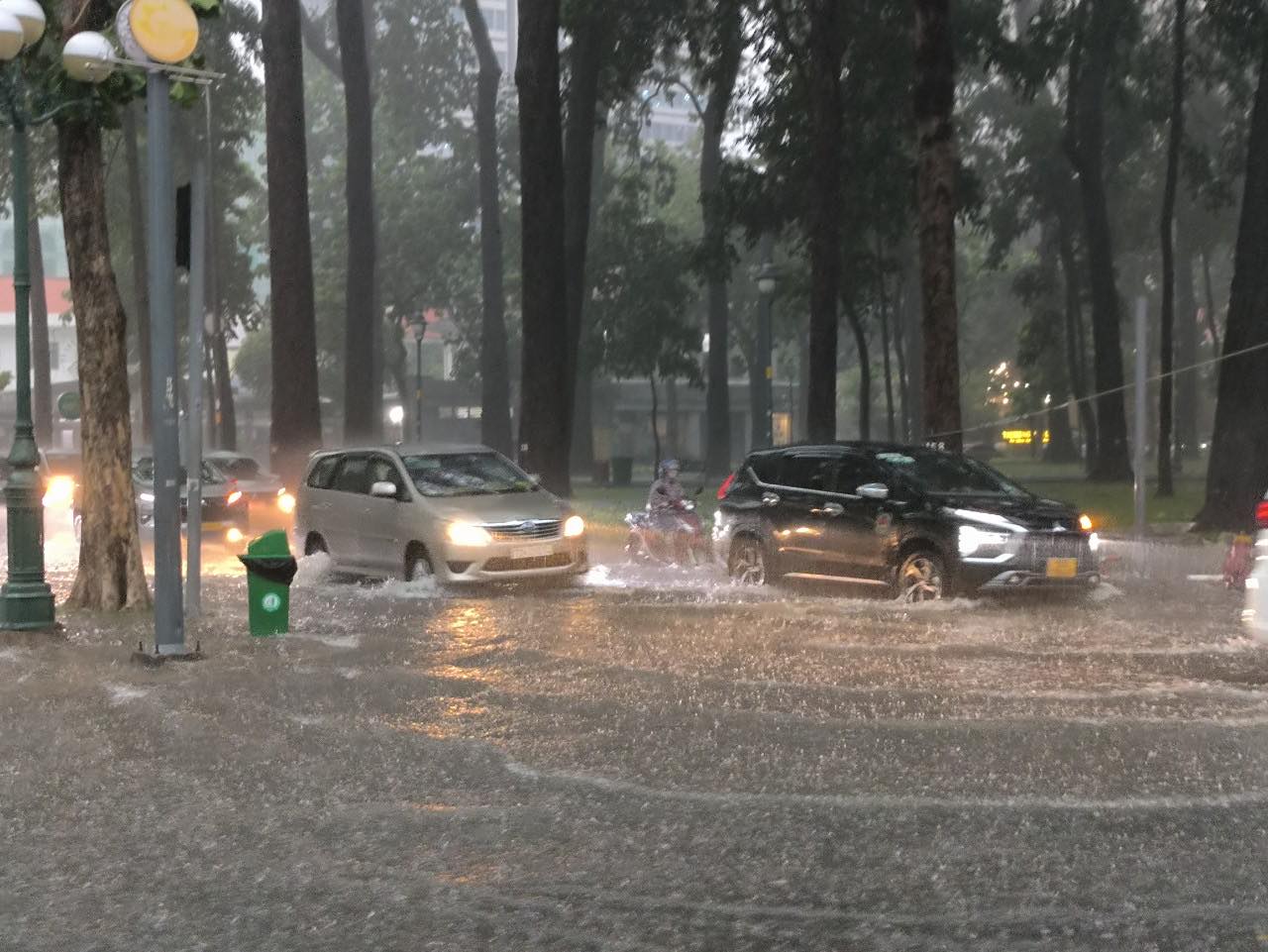 C&acirc;y đổ đầy đường, nước ngập l&ecirc;nh l&aacute;ng ngay trung t&acirc;m TP.HCM- Ảnh 1.