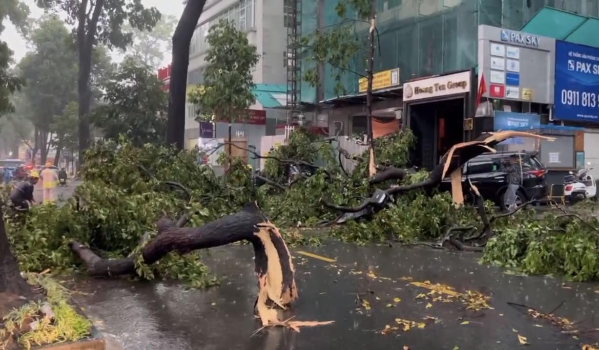 C&acirc;y đổ đầy đường, nước ngập l&ecirc;nh l&aacute;ng ngay trung t&acirc;m TP.HCM- Ảnh 7.