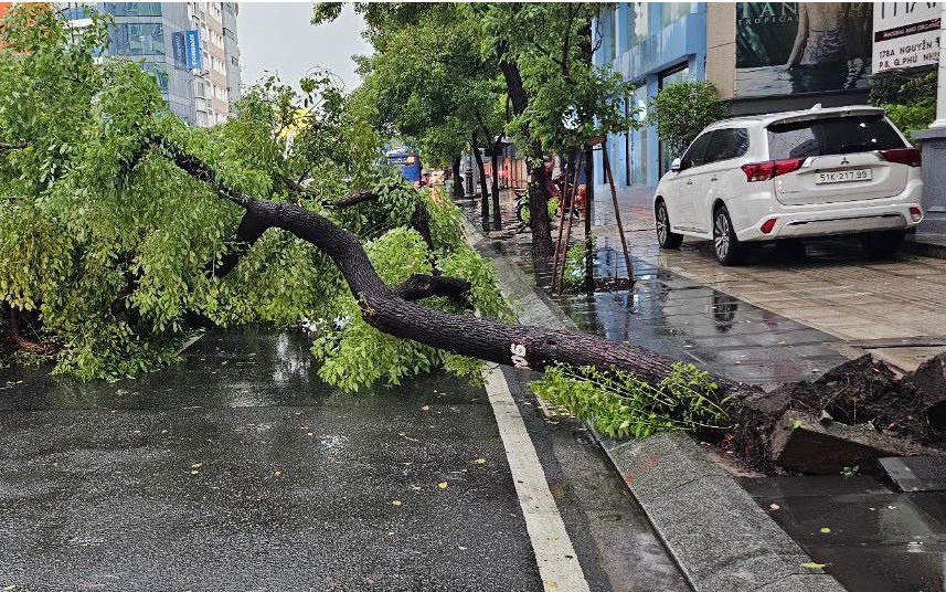 C&acirc;y đổ đầy đường, nước ngập l&ecirc;nh l&aacute;ng ngay trung t&acirc;m TP.HCM