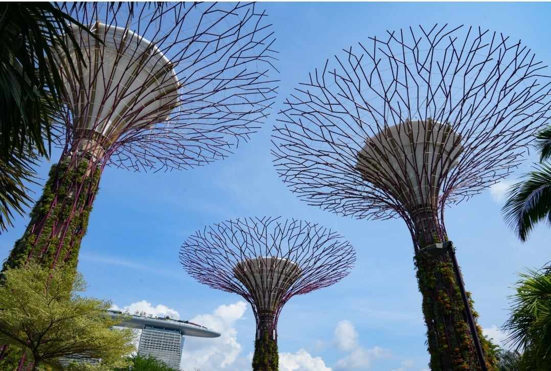 Vietnam Airlines vận chuyển 189 ngh&igrave;n kh&aacute;ch đi, đến Singapore- Ảnh 1.