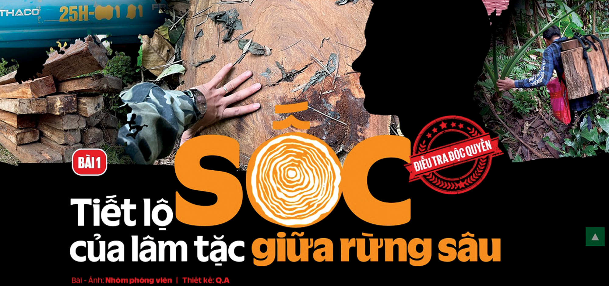 B&oacute;ng d&aacute;ng AI sau ph&oacute;ng sự điều tra đạt giải- Ảnh 1.