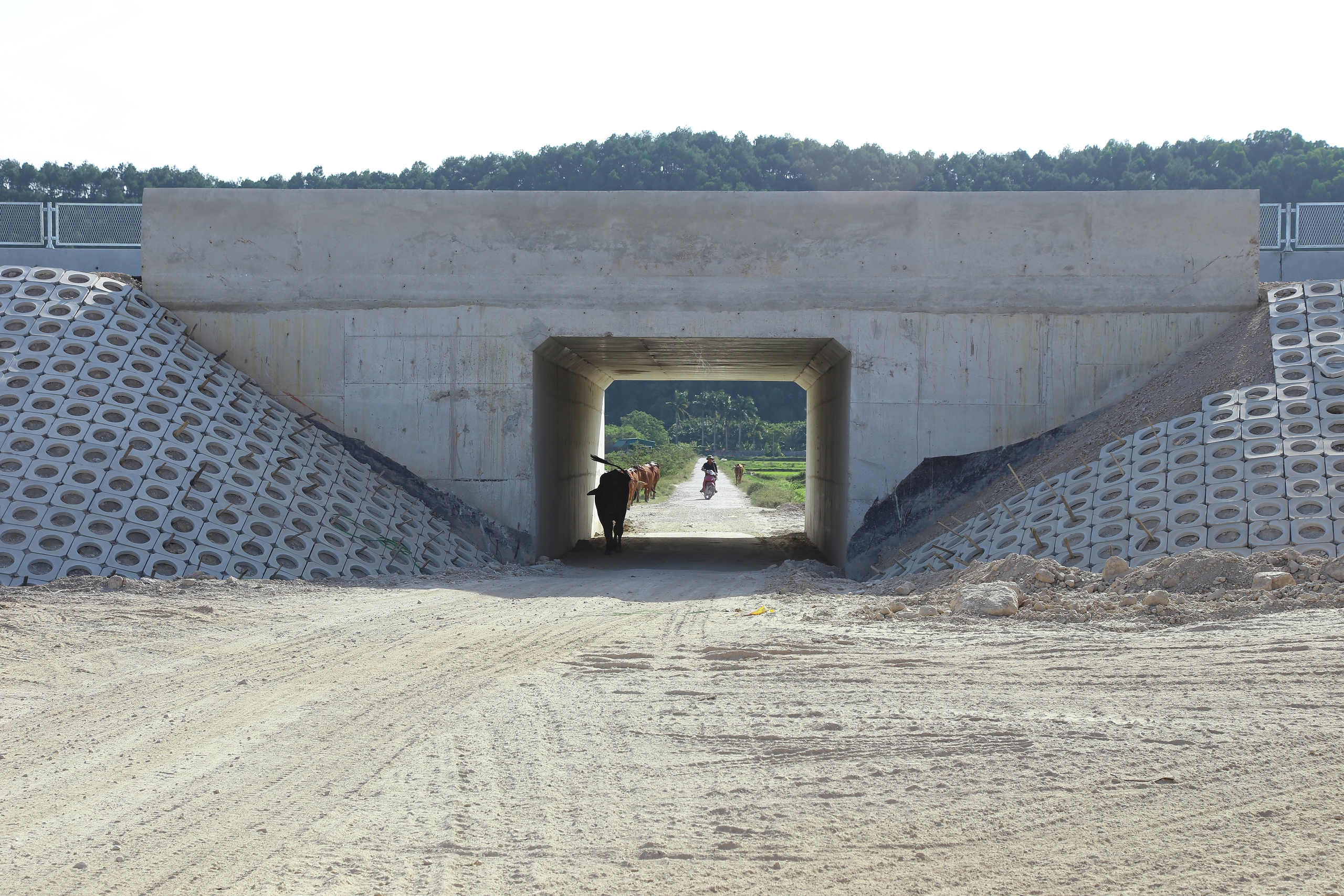 Phơi mình nơi "chảo lửa" hoàn thiện cao tốc Diễn Châu - Bãi Vọt- Ảnh 16. Phơi mình nơi "chảo lửa" hoàn thiện cao tốc Diễn Châu - Bãi Vọt- Ảnh 16.