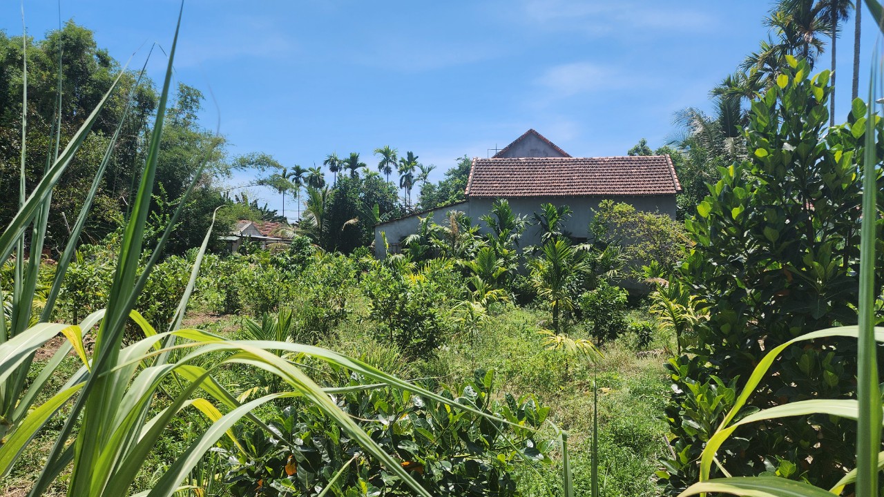 Vụ vợ chồng bị sát hại, hai con nguy kịch: Vùng quê bàng hoàng trước thảm kịch- Ảnh 3. Vụ vợ chồng bị sát hại, hai con nguy kịch: Vùng quê bàng hoàng trước thảm kịch- Ảnh 3.