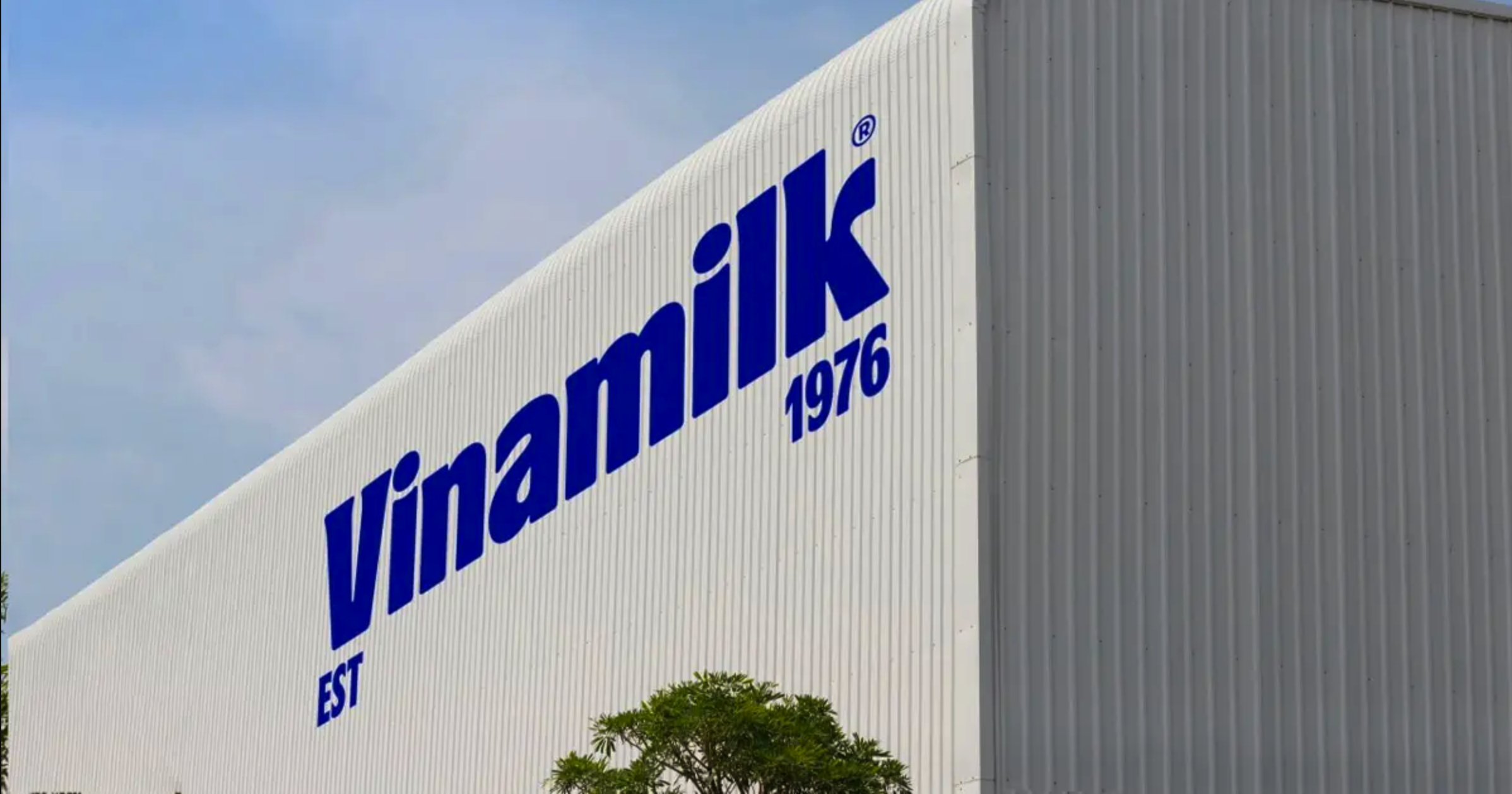 Vinamilk là doanh nghiệp sữa duy nhất từ Việt Nam trong Top 500 Fortune khu vực Đông Nam Á 2024. Vinamilk là doanh nghiệp sữa duy nhất từ Việt Nam trong Top 500 Fortune khu vực Đông Nam Á 2024.