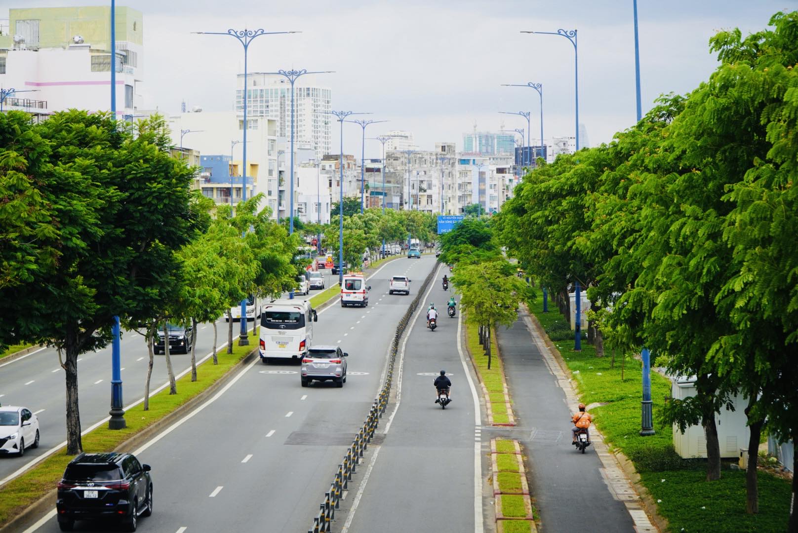 Bắt đầu đốn hạ, di dời gần 240 c&acirc;y xanh để mở rộng đại lộ Đ&ocirc;ng T&acirc;y- Ảnh 10.