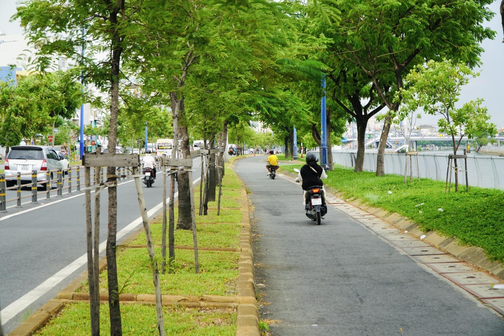 Bắt đầu đốn hạ, di dời gần 240 c&acirc;y xanh để mở rộng đại lộ Đ&ocirc;ng T&acirc;y- Ảnh 2.