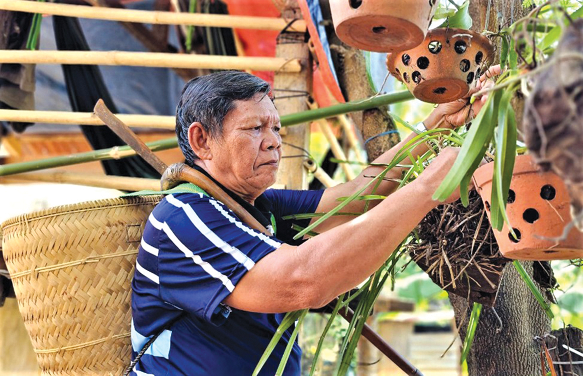 Luật tục kỳ lạ của người T&rsquo;rin- Ảnh 2.