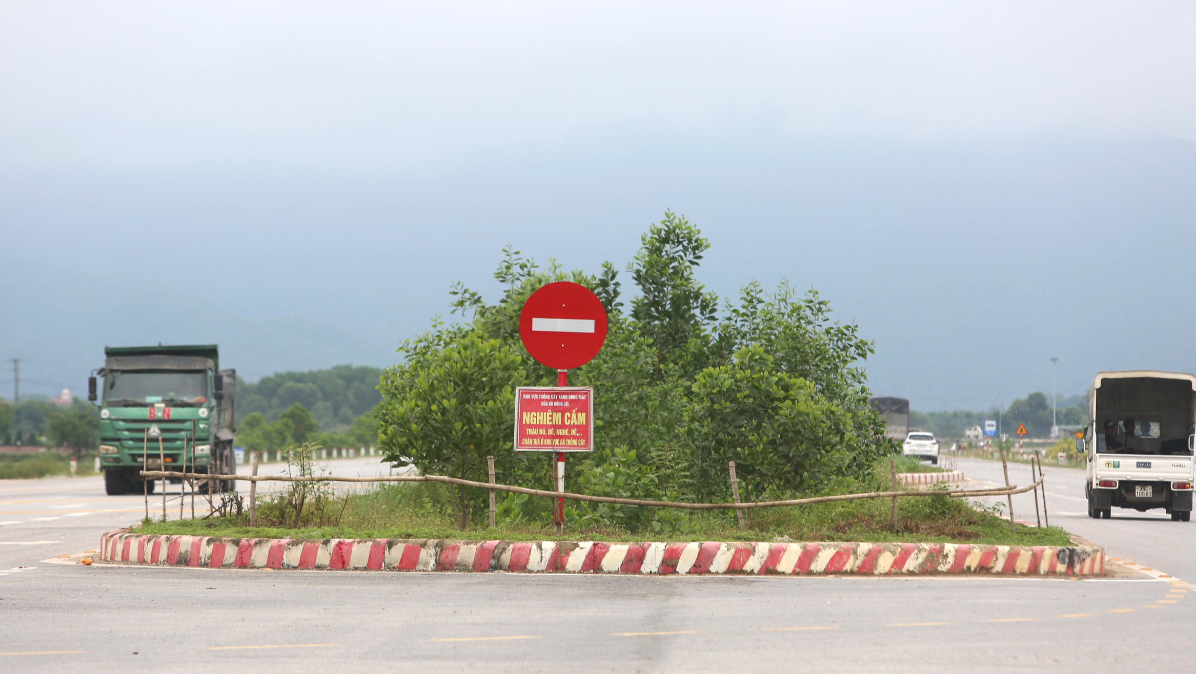 Ngắm tuyến đường ngh&igrave;n tỷ ở Thanh H&oacute;a "đẹp như tranh vẽ"- Ảnh 14.