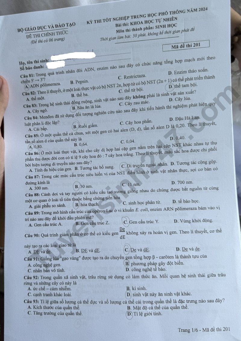 Đáp án đề thi môn Sinh học THPT 2024 tất cả mã đề- Ảnh 1. Đáp án đề thi môn Sinh học THPT 2024 tất cả mã đề- Ảnh 1.