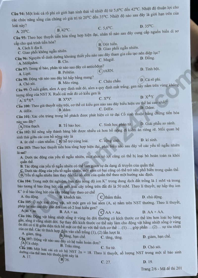 Đáp án đề thi môn Sinh học THPT 2024 tất cả mã đề- Ảnh 2. Đáp án đề thi môn Sinh học THPT 2024 tất cả mã đề- Ảnh 2.