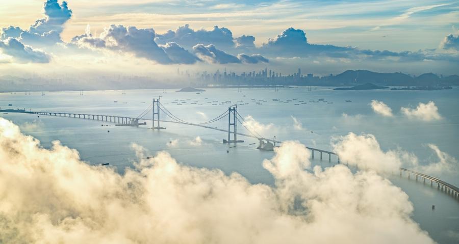 C&acirc;y cầu sở hữu mỏ neo d&acirc;y c&aacute;p lớn nhất thế giới, với khối lượng b&ecirc; t&ocirc;ng của mỗi mỏ neo khoảng 344.000m3. (Ảnh: T&acirc;n Hoa x&atilde;)