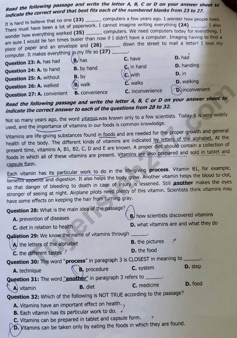 Đáp án đề thi tuyển sinh lớp 10 môn Tiếng Anh Khánh Hòa năm 2024- Ảnh 4. Đáp án đề thi tuyển sinh lớp 10 môn Tiếng Anh Khánh Hòa năm 2024- Ảnh 4.