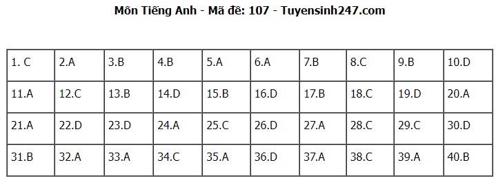 Đ&aacute;p &aacute;n đề thi tuyển sinh lớp 10 m&ocirc;n Tiếng Anh H&agrave; Nội năm 2024- Ảnh 8.