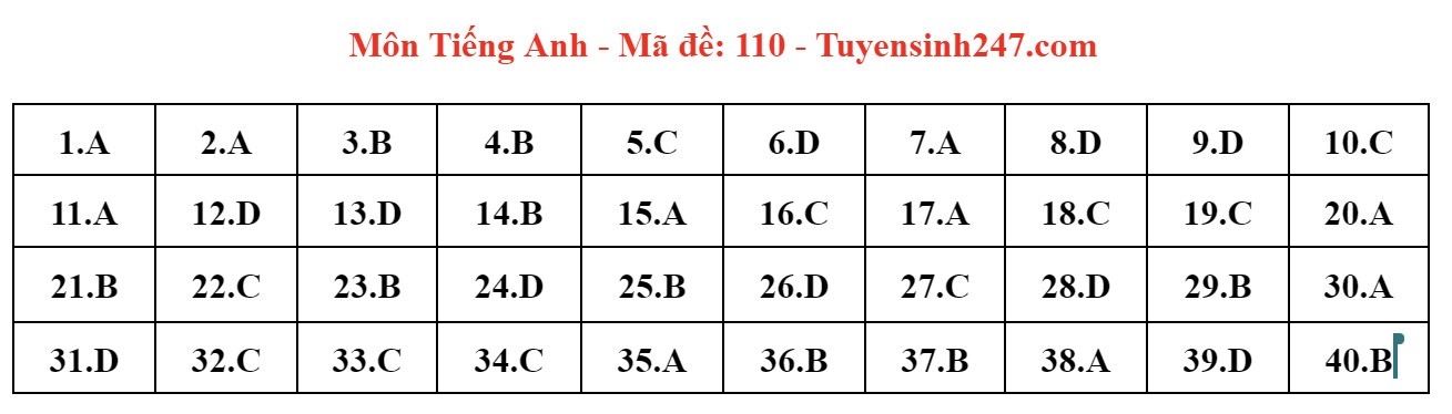 Đ&aacute;p &aacute;n đề thi tuyển sinh lớp 10 m&ocirc;n Tiếng Anh H&agrave; Nội năm 2024- Ảnh 11.