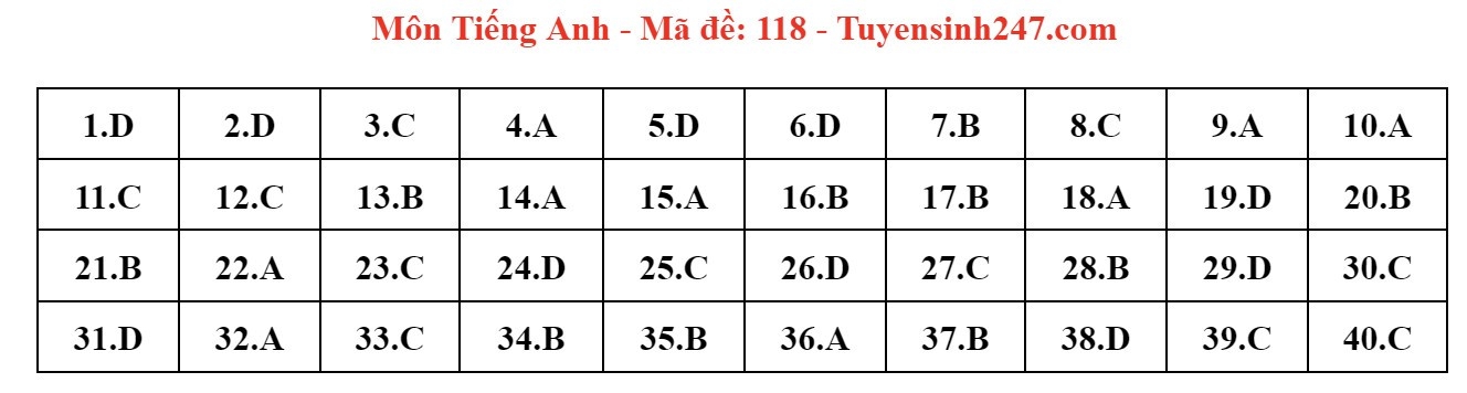 Đ&aacute;p &aacute;n đề thi tuyển sinh lớp 10 m&ocirc;n Tiếng Anh H&agrave; Nội năm 2024- Ảnh 19.